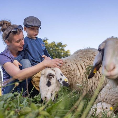 Gasperhof Leilighet Dellach  Eksteriør bilde