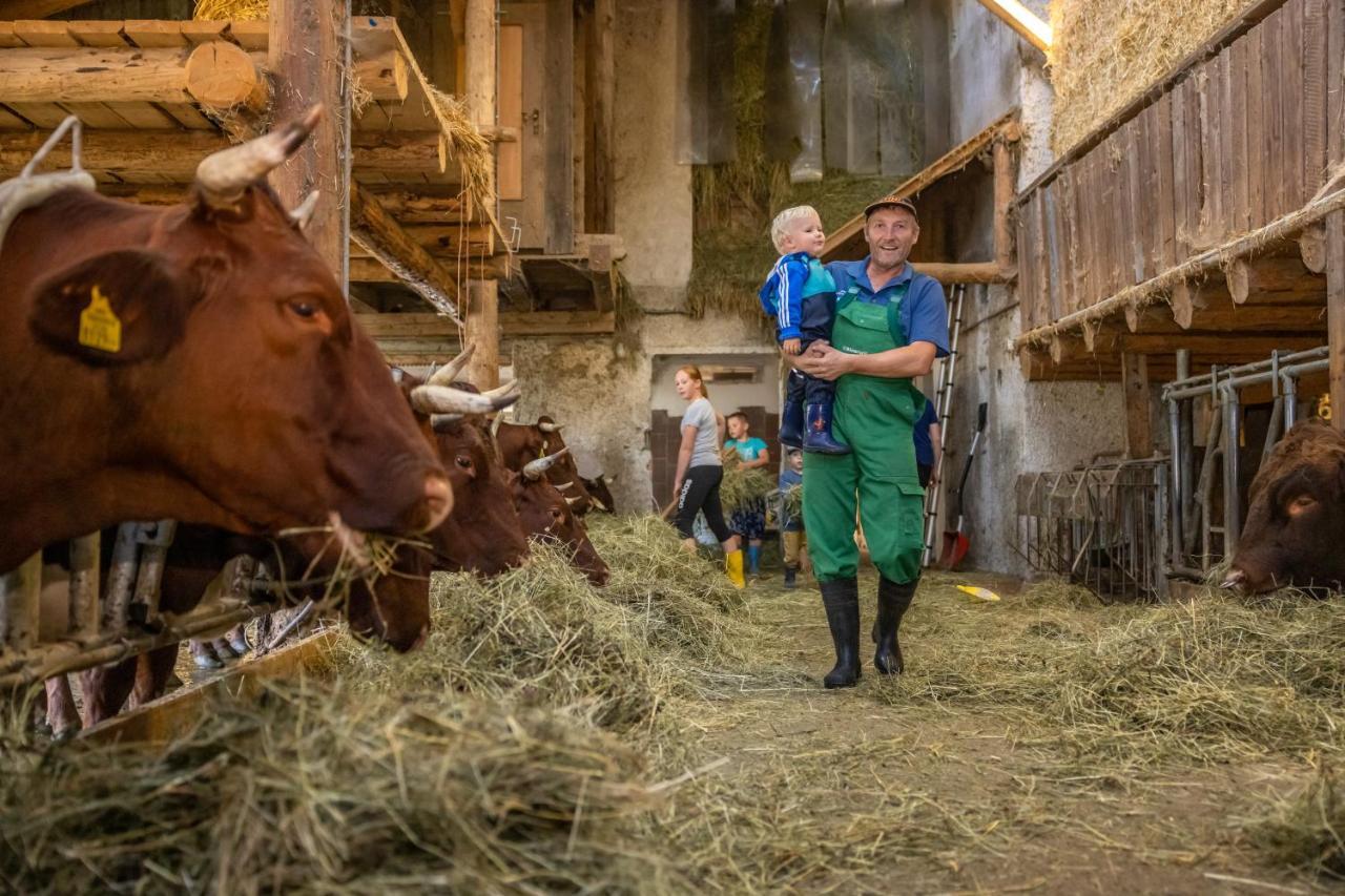 Gasperhof Leilighet Dellach  Eksteriør bilde