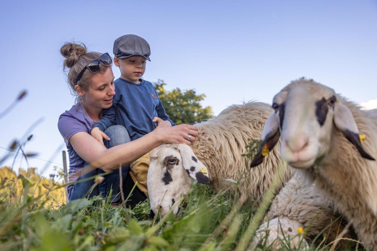 Gasperhof Leilighet Dellach  Eksteriør bilde